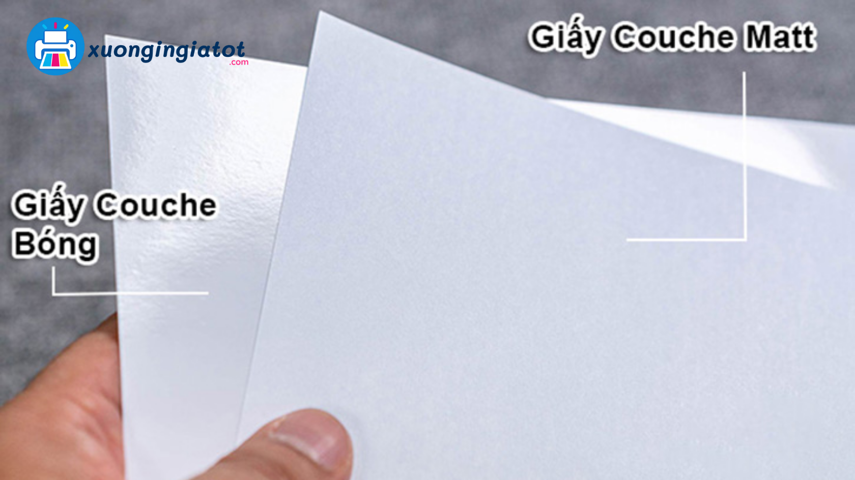 Chọn định lượng và loại giấy