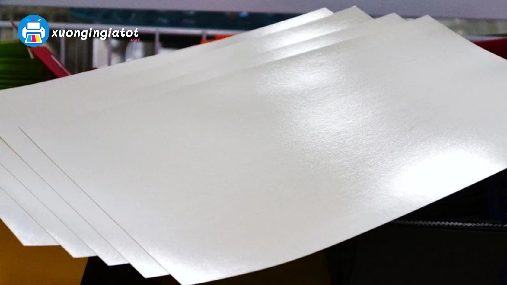 Chất Liệu Giấy In Catalogue Phổ Biến Và Cách Lựa Chọn 2 giay in catalogue 2