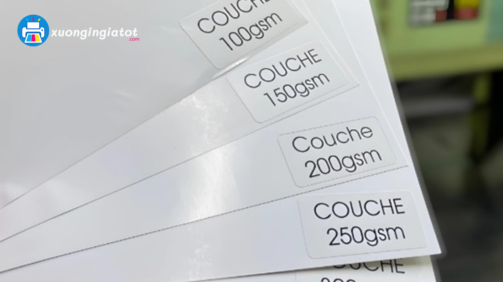 Chất Liệu Giấy In Catalogue Phổ Biến Và Cách Lựa Chọn 1 giay in catalogue 3