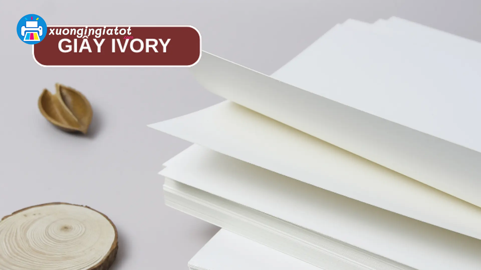Chất Liệu Giấy In Catalogue Phổ Biến Và Cách Lựa Chọn 3 giay in catalogue 4